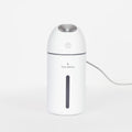 Hey Dewy Portable Facial Hydrating Cool Mist Humidifier (USB Wired Version)