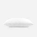 Bed Pillows & Positioners