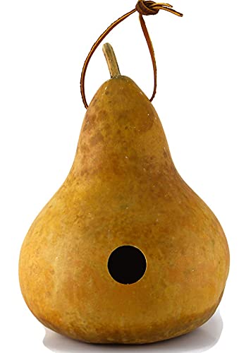 Gourdaments Gourd Birdhouse, Unfinished, Craft Ready, Box of 3