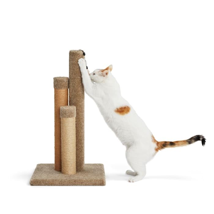 EveryYay by Petco Essentials Scratchin' The Surface 3-Sided Post with Scratcher Cat Toy, 26.5" H