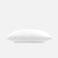 Bed Pillows & Positioners
