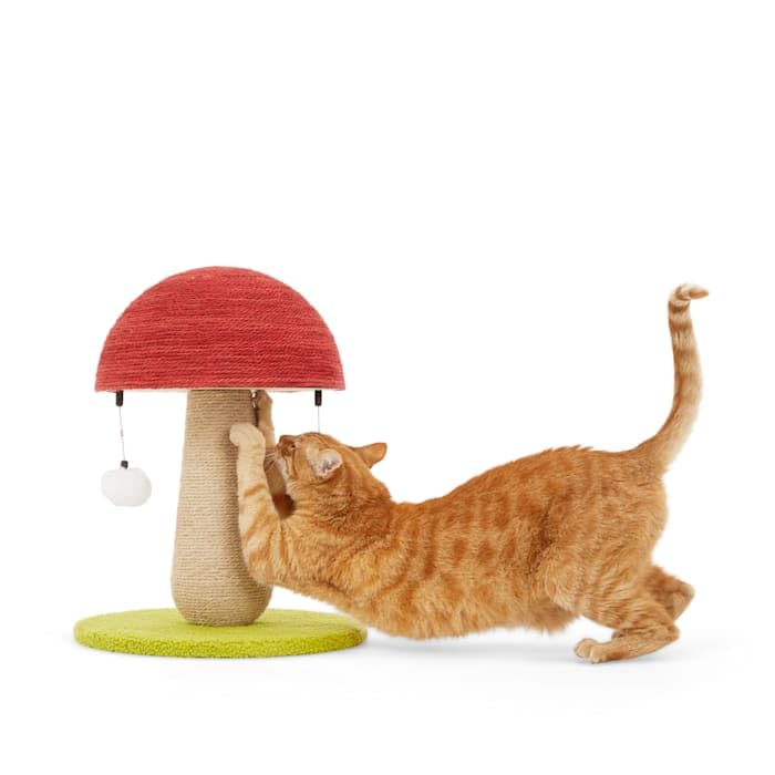 EveryYay by Petco Toadstool Scratch Post for Cats