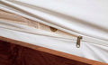 Mattress Toppers