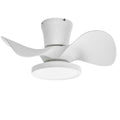 ocioc Quiet Ceiling Fan with LED Light 22 inch Large Air Volume Remote Control for Kitchen Bedroom Dining Room Patio