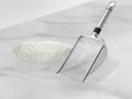 Stainless Steel Cat Litter Scoop – Anti-Stick Litter Shovel with Hook, Rust-Proof & Heavy Duty Cat Litter Scooper for Clumping Litter, Easy to Clean & Store