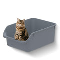 Large Cat Litter Box with High Sides,Durable Open Top Cat Litter Pan for Kitty,Plastic Indoor Big Cat Box with High Wall,Senior Cat Toilet with Low Entry,Easy to Clean,Anti-Splashing(Grey)