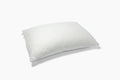 Bed Pillows & Positioners