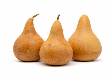 Natural Dried Gourds for Crafts – Box of 4 Martin Gourds (9-11” Tall, 7-8” Wide) Perfect for Birdhouses, Painting, and DIY Craft Projects