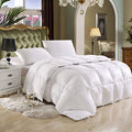 Bedding Comforters