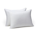 Bed Pillows & Positioners
