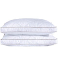 Bed Pillows & Positioners