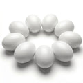 SallyFashion Wooden Fake Eggs for Nesting Boxes, 9 PCS White Easter Eggs for Craft Pretend Play Kitchen Accessories for Toddler Kids