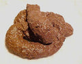 Party Gag Gift Prank College Humor Fake Dog Crap Poop Pile
