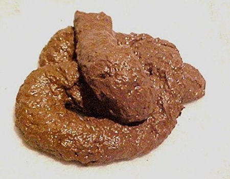 Party Gag Gift Prank College Humor Fake Dog Crap Poop Pile