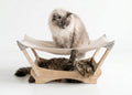 Cat Hammock, Wooden Elevated Cat Bed with Scratching Post,Wooden Frame Cat Scratcher Bed, Mortise-and-Tenon Construction, no Screws, Sturdy and Easy to Assemble, Dimensions: 24.5" L × 15" W