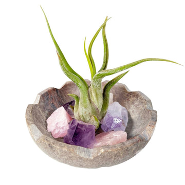 Decorative Lotus Carved Stone Bowl includes Tillandsia Caput-Medusae Air Plant, Amethyst, Rose Quartz, Natural Crystal Decor Gift Set for Meditation Room, Boho Zen Decor for Home or Office