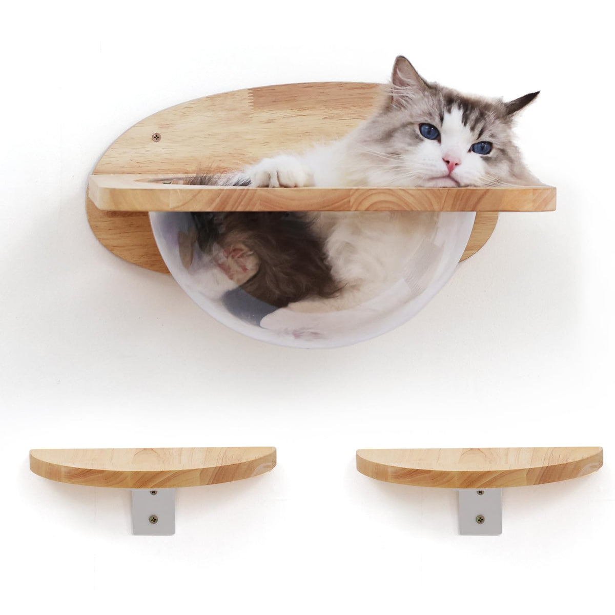 FUKUMARU Cat Wall Furniture Set, Transparent Capsule Kitten Walls Shelves with 2 PCS Pedals - Premium Kitty Bed for Sleeping, Playing, Climbing, and Lounging - Easily Holds Up to 35 Lbs