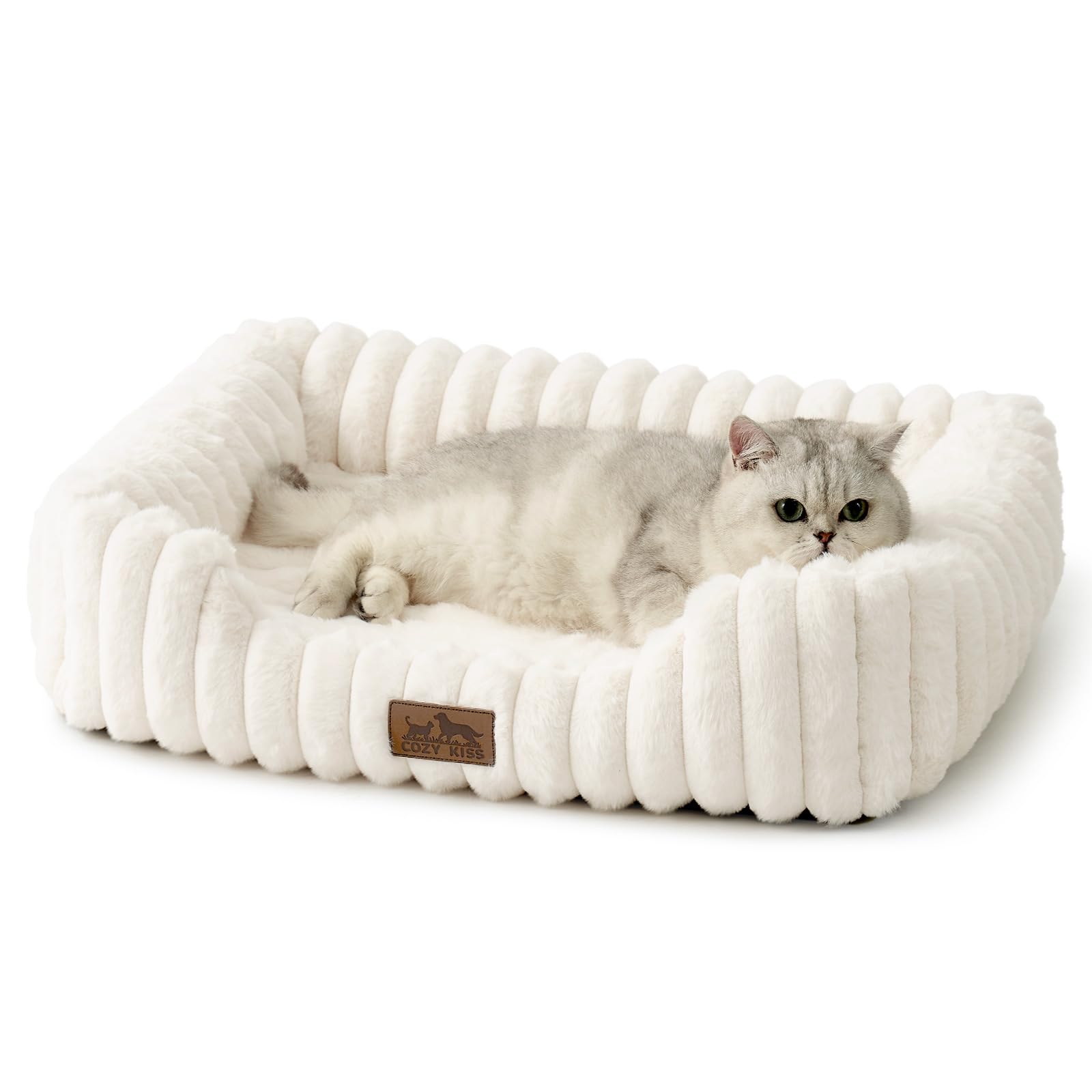 Orthopedic Dog Bed for Small Dogs & Cats - Washable Rectangle Pet Bed with Anti-Slip Bottom, Soft Calming Cat & Puppy Bed for Indoor Pets (25"x21"x6", Cream)