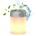 Night Lights Humidifiers For Bedroom, USB Rechargeable, LED Lights For Bedroom,4 Mode Portable Humidifier Fit For Various Scenarios,<28dB, Auto Shut-off, Ideal For Home Travel Plants(Gray?