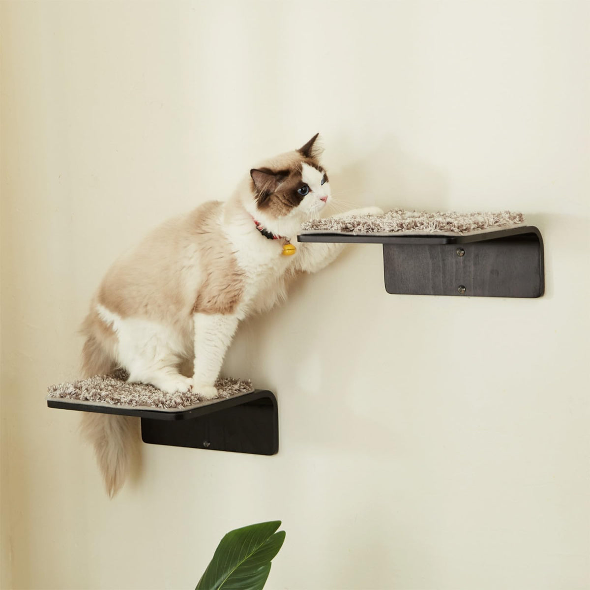 LIORCE 2 Set Cat Wall Steps - Wooden Cat Climbing Shelf for Wall - Cats Wall Stairs with Scratching Mat - Wall Mounted Cats Furniture for Jumping, Playing, and Lounging, Walnut