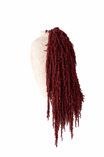 Hanging Amaranthus Natural Red- 5 Stems | Dried Flowers | Hanging Flowers | Natural Flowers | Wisteria Vine | Preserved Flowers