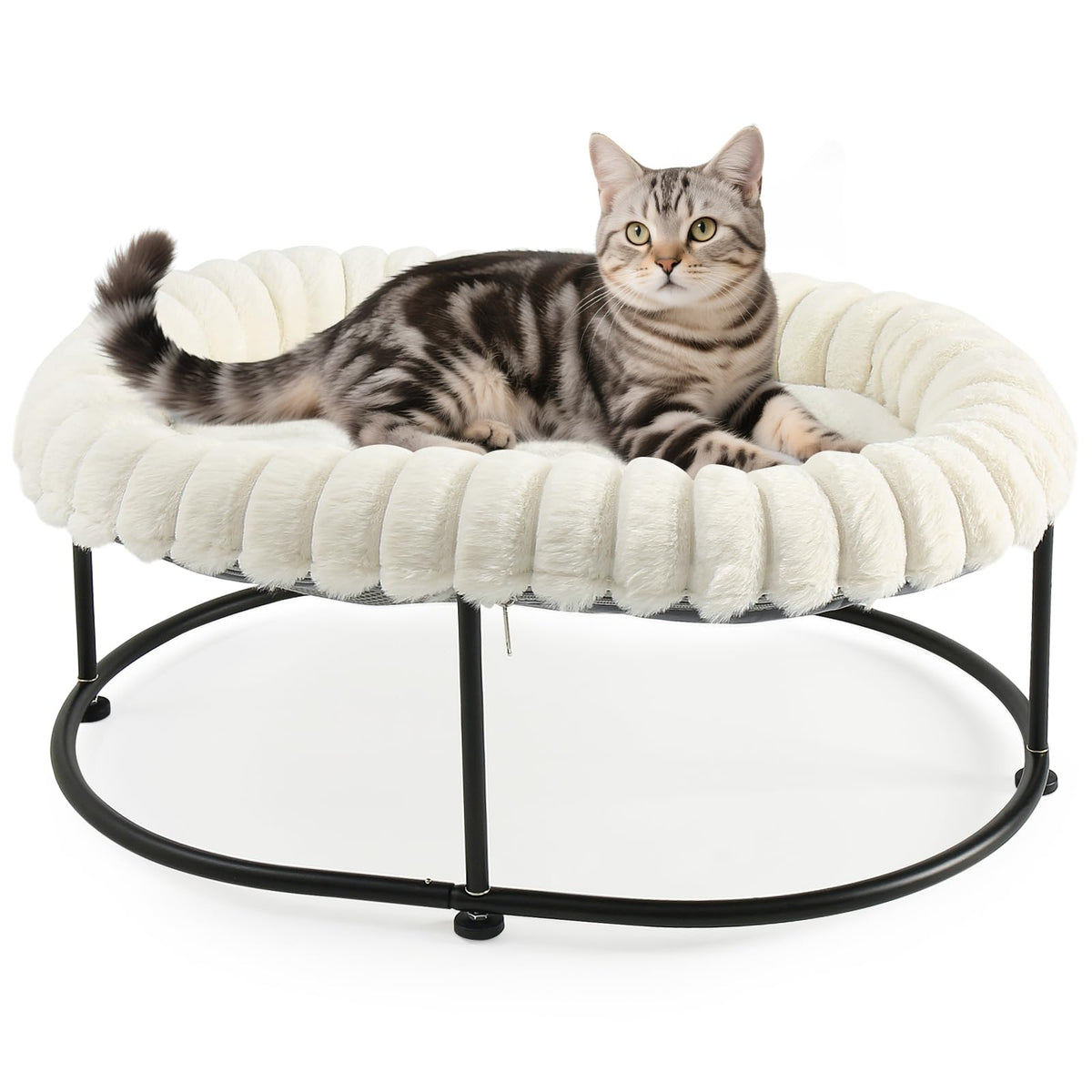 Sunhoo Elevated Cat Bed for Indoor Cats Raised Kitten Hammock Large High Puppy Cot Off Floor Self-Supporting Small Pet Chair with Metal Frame Washable Cushion Easy Assembly 23 * 17 * 8.3 in (White)