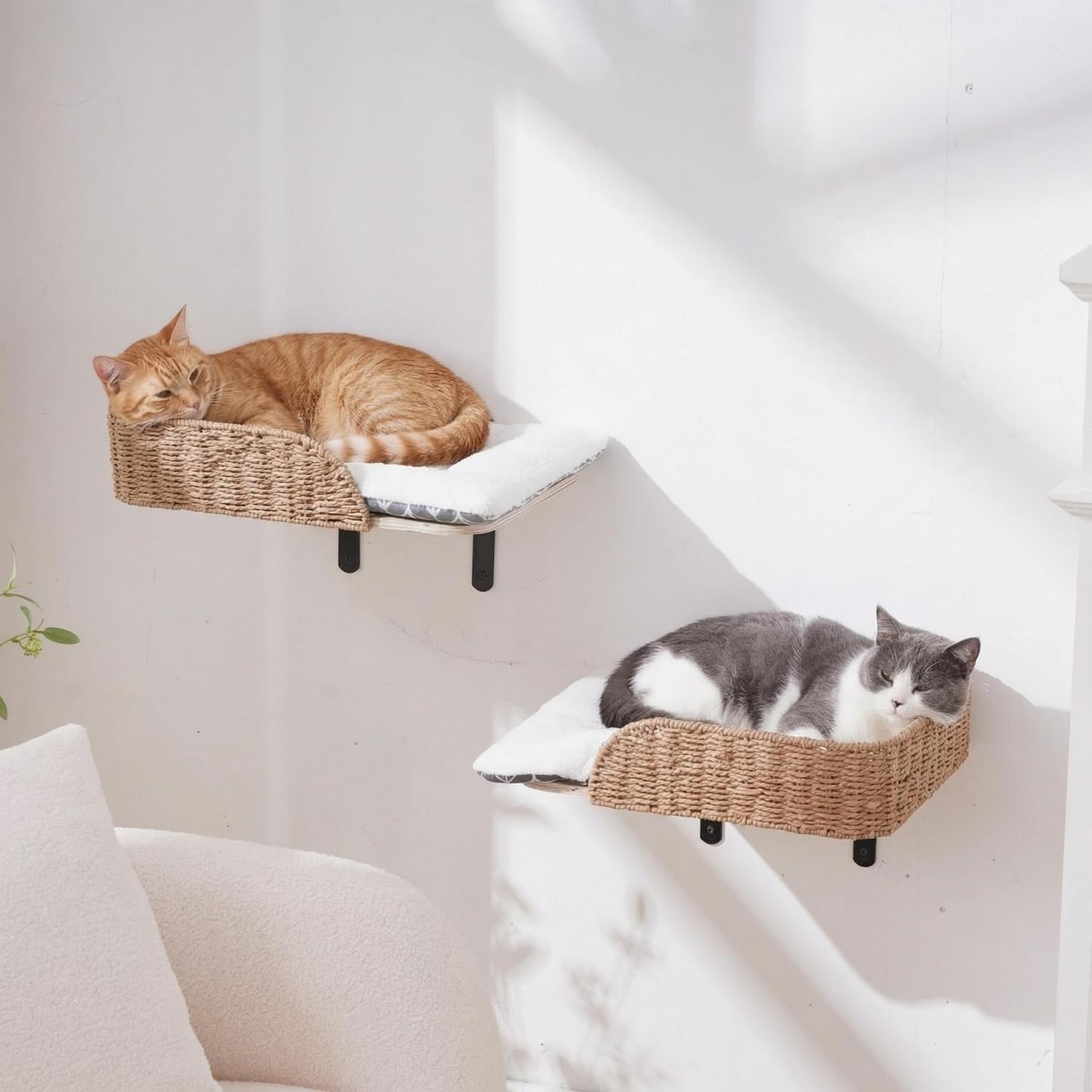 SHENGOCASE Modern Wall Mounted Cat Bed Perch with Handwoven Guardrail, 2-Pack, Wooden Shelves with Washable Pillow Cushions, Wall Furniture Set
