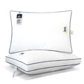 Bed Pillows & Positioners
