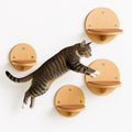 Cat Wall Shelves - Set of 4 Round Floating Wall Steps Scratch Pads, up to 20Lbs. Saving-Space Decorative Wall-Mounted Cat Furniture for Climbing, Playing & Resting - Solid Natural Wood by INSTINTO