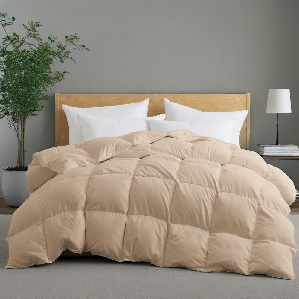 Bedding Comforters