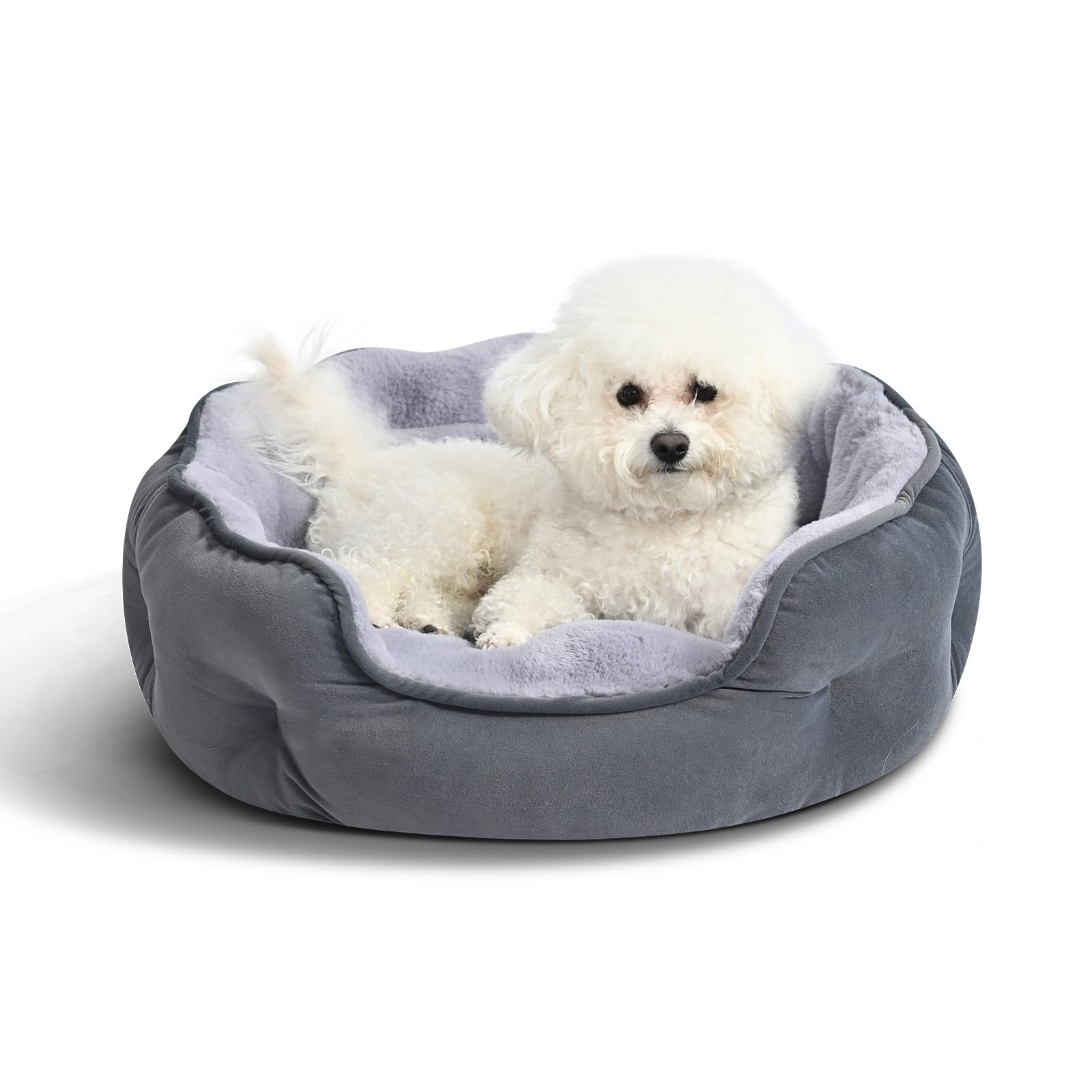 Fanci Basics Round Dog Bed for Small Dogs, Cat Beds for Indoor Cats, Washable Puppy Bed with Soft Plush Cushion, Anti-Slip Bottom, 20x19x6 Inches, Gray