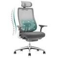 Colamy Ergonomic Office Chair, Grey