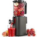 Cold Press Juicer, 5.5inch Wide Feed Chute Juicer Machine, Slow Masticating Juicer for Whole Vegetables & Fruits, Gray