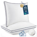 Bed Pillows & Positioners
