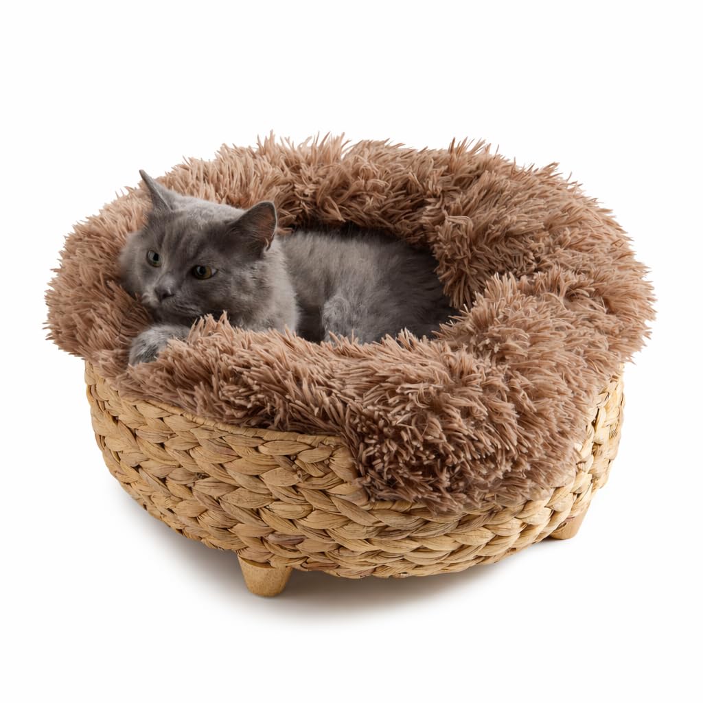 Cat Luxury Cat Bed for Indoor Cats, Plush Furniture for Comfort and Relaxation, Soft Covered Nest for Cats, Washable Warm Design with Modern Zen Style
