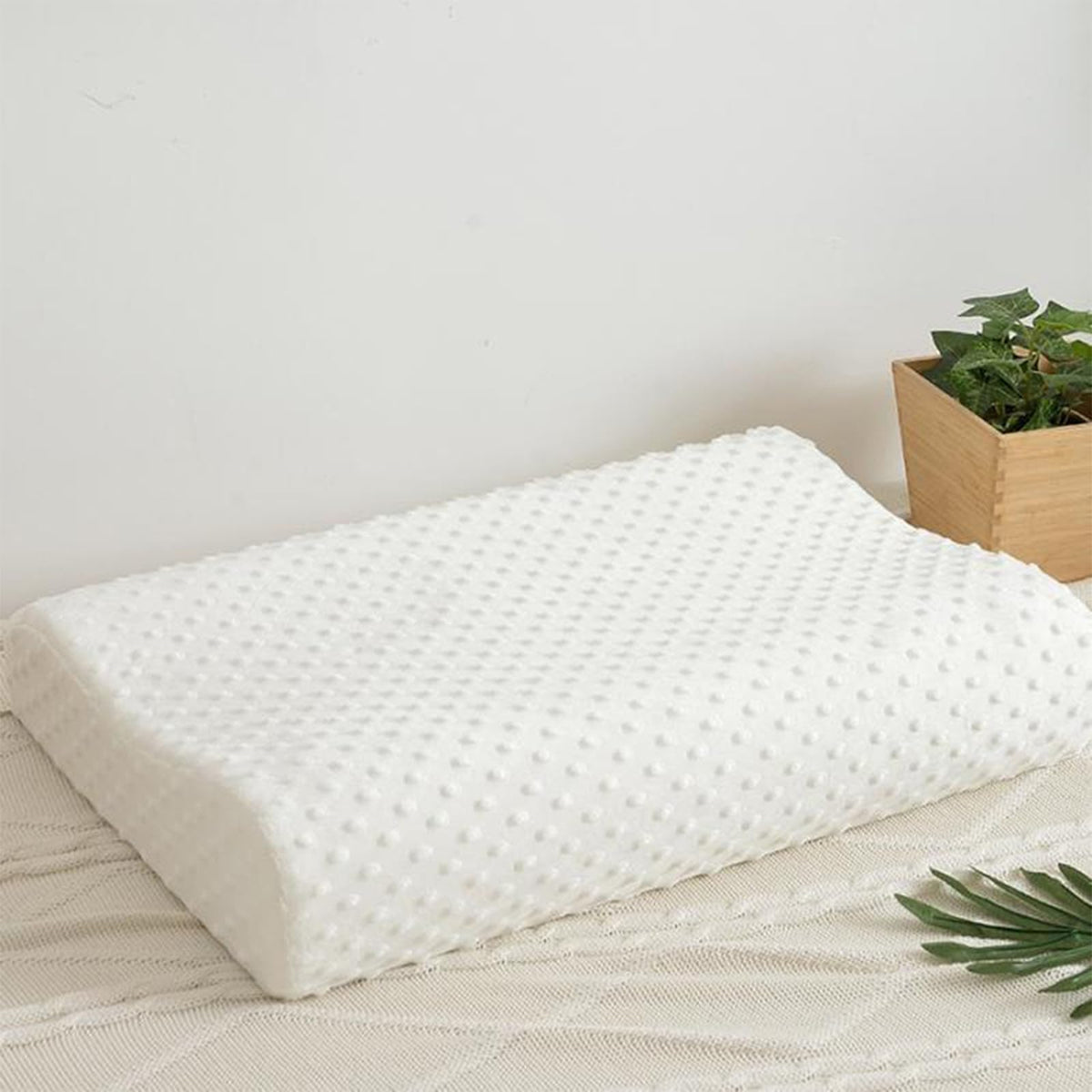 Bed Pillows & Positioners