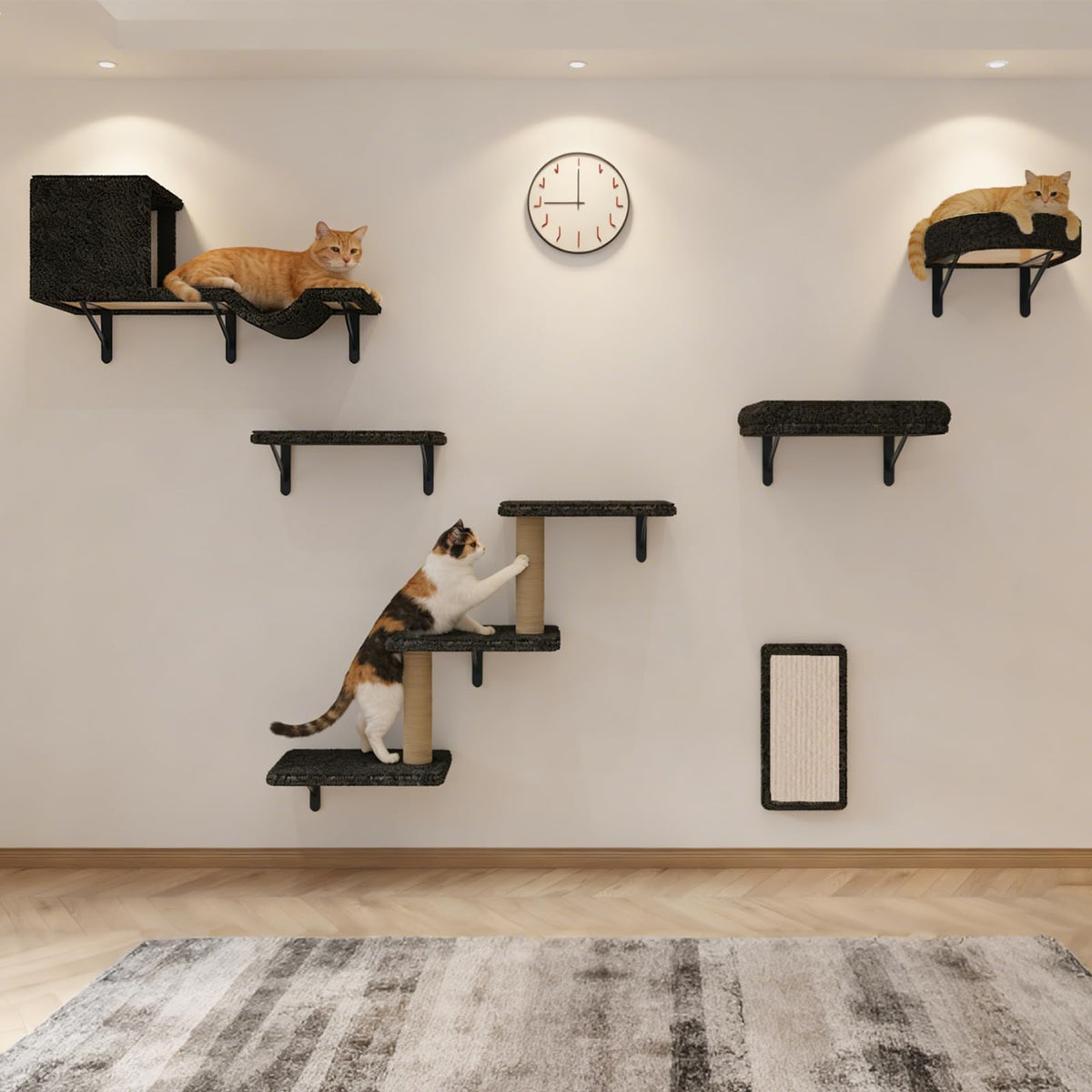 Cat Wall Shelves, 10-Piece Complete Cat Wall Furniture System with Perches and Scratching Posts, Stable Floating Climbing Set for Large Indoor Cats, Space Saving Kitty Furniture - Dark Gray