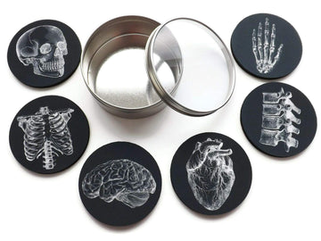 Anatomy Goth Gift Set of 4 or 6 Drink Coasters Skull Anatomical Heart Male Nurse Practitioner Doctor Physician Assistant