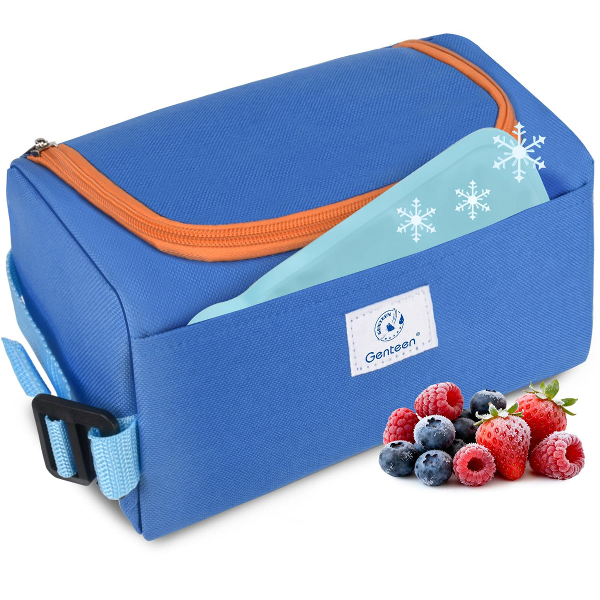 Small Cooler Bag with Ice Packs, Insulated Leakproof Reusable Lunch & Snack Tote, BPA free Thermal Cooler Bag for School, Travel, Work and Daily Use,Blue