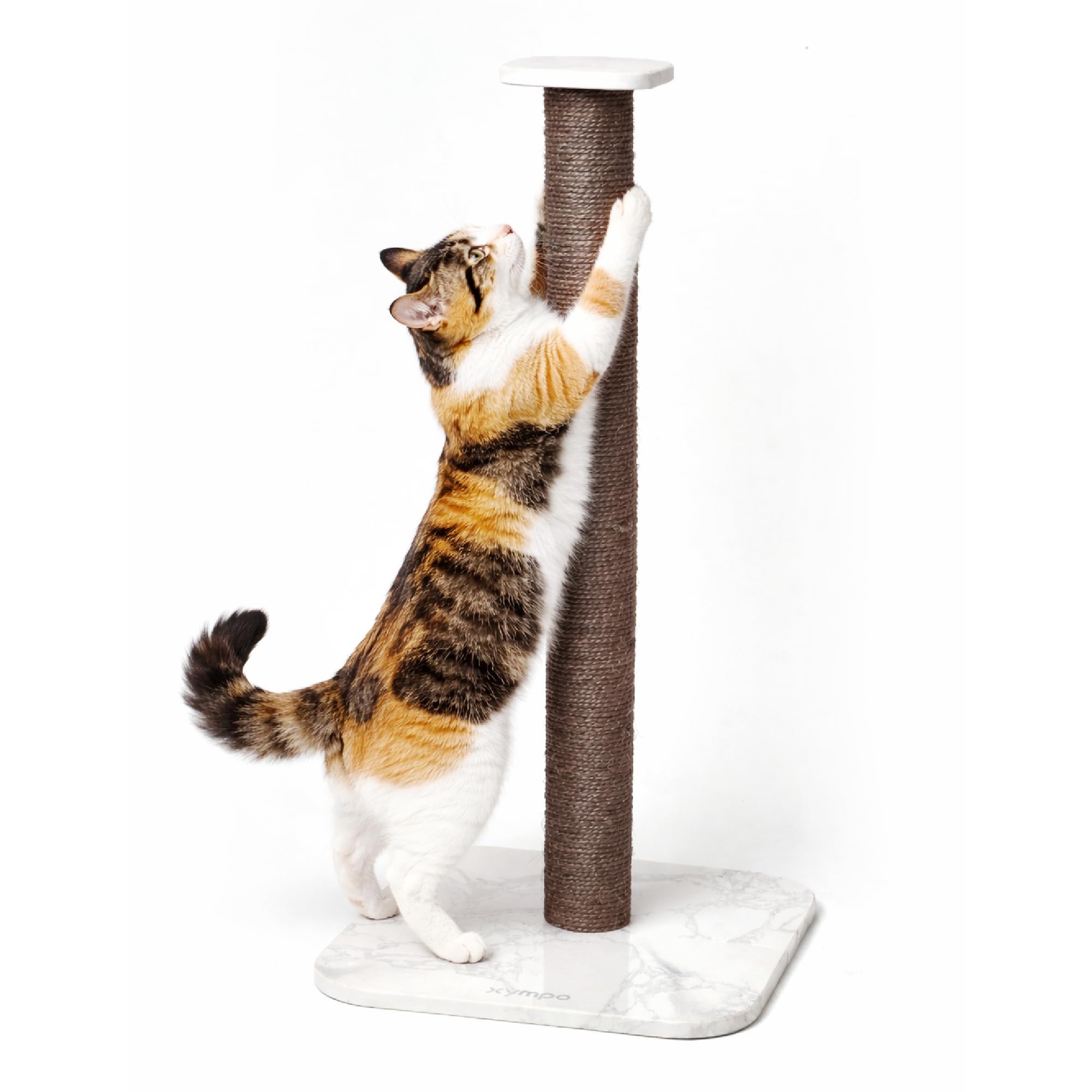 xympo 32" Sisal Scratching Post