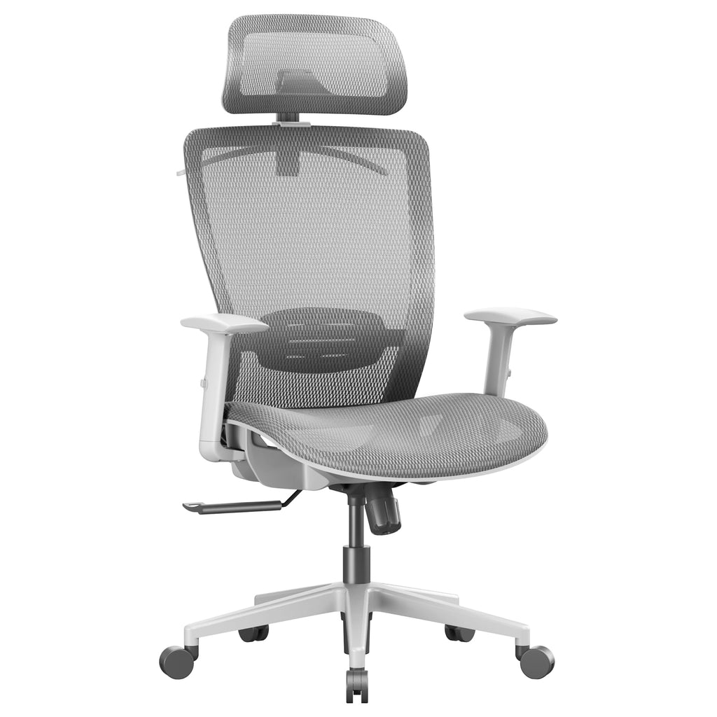 Flexispot Ergonomic Office Chair High Back Mesh Swivel Computer Chair Executive Office Desk Chairs with Adjustable Lumbar Support/2d