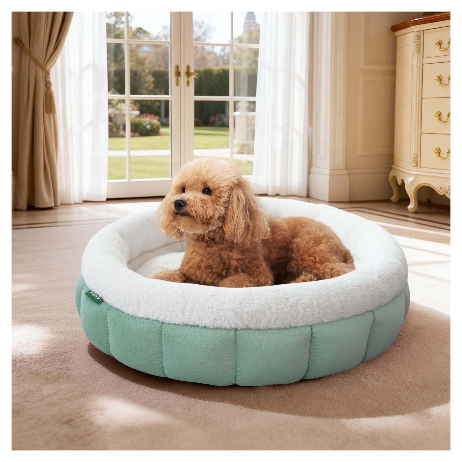 BALANCE Cat Beds for Indoor Cats, Washable Round Cat Bed, Cute Kitten Bed with Anti-Slip Bottom for Kitty and Puppy, 23 Inches, Granite Green