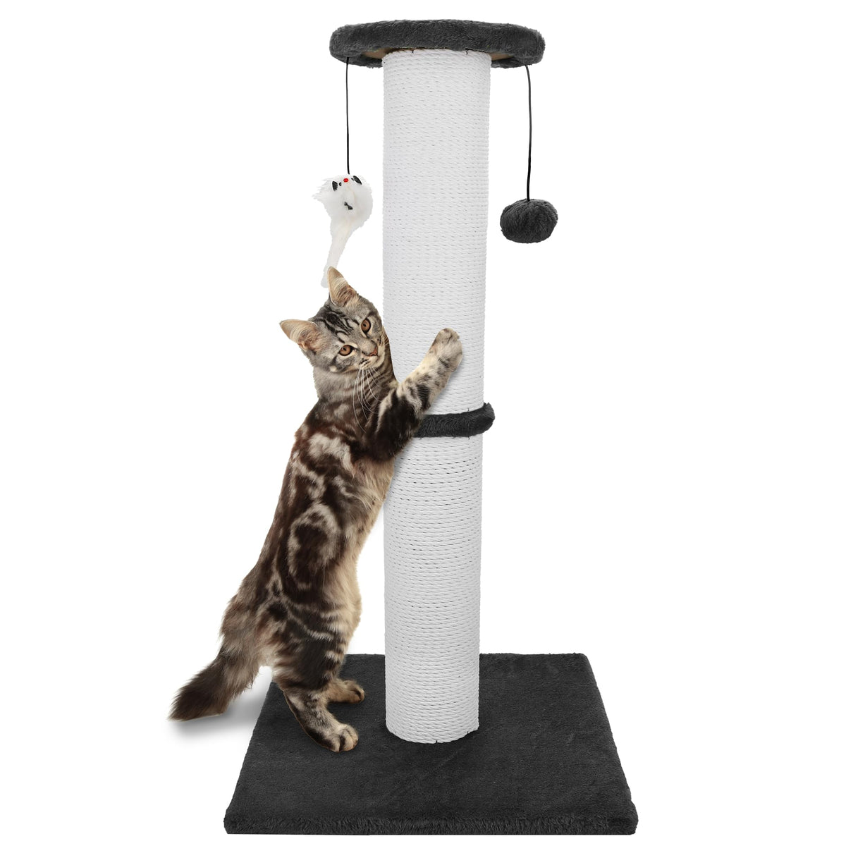 Cat Scratching Post 34 Inches Heavy Duty and Thicker Cat Scratching Post Sisal Rope with Hanging Ball and Mice Scratching Post for Indoor Cats and Adult(Black)