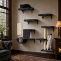 6-in-1 Wall Mounted Cat Climber Set for Heavy Cats,Wall Shelves,Stable & Safe Cat Furniture Set for Large Cats, Wooden Climbing Wall with Scratching Post (Black)