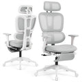 Ergonomic Office Chair with Footrest and Dynamic Lumbar Support, Grey, High Back, Light Grey