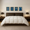 Bedding Comforters