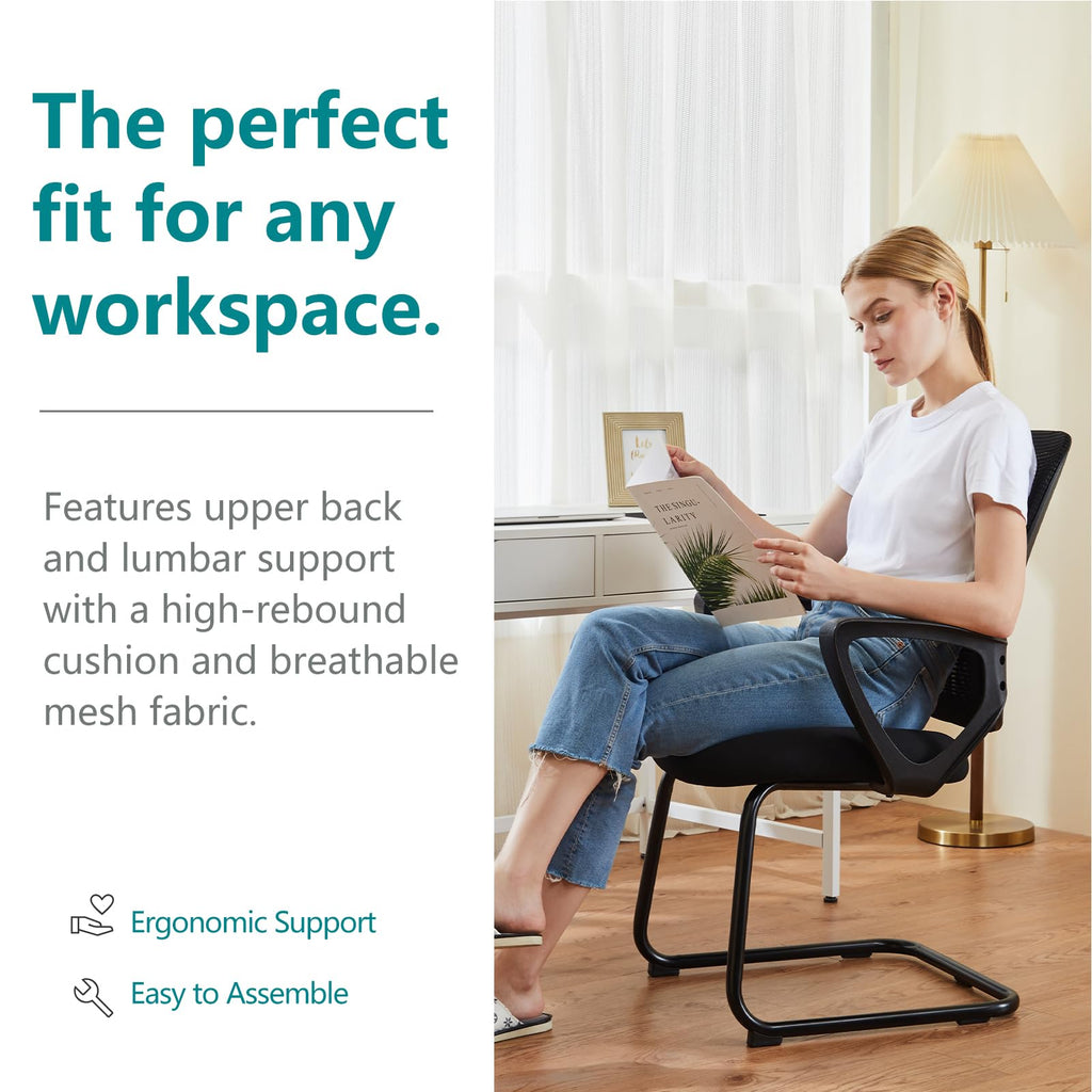 Dumos Office Desk Chair, Computer Chairs Set of 2, Mesh Back Lumbar Support, Dark