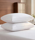 Bed Pillows & Positioners