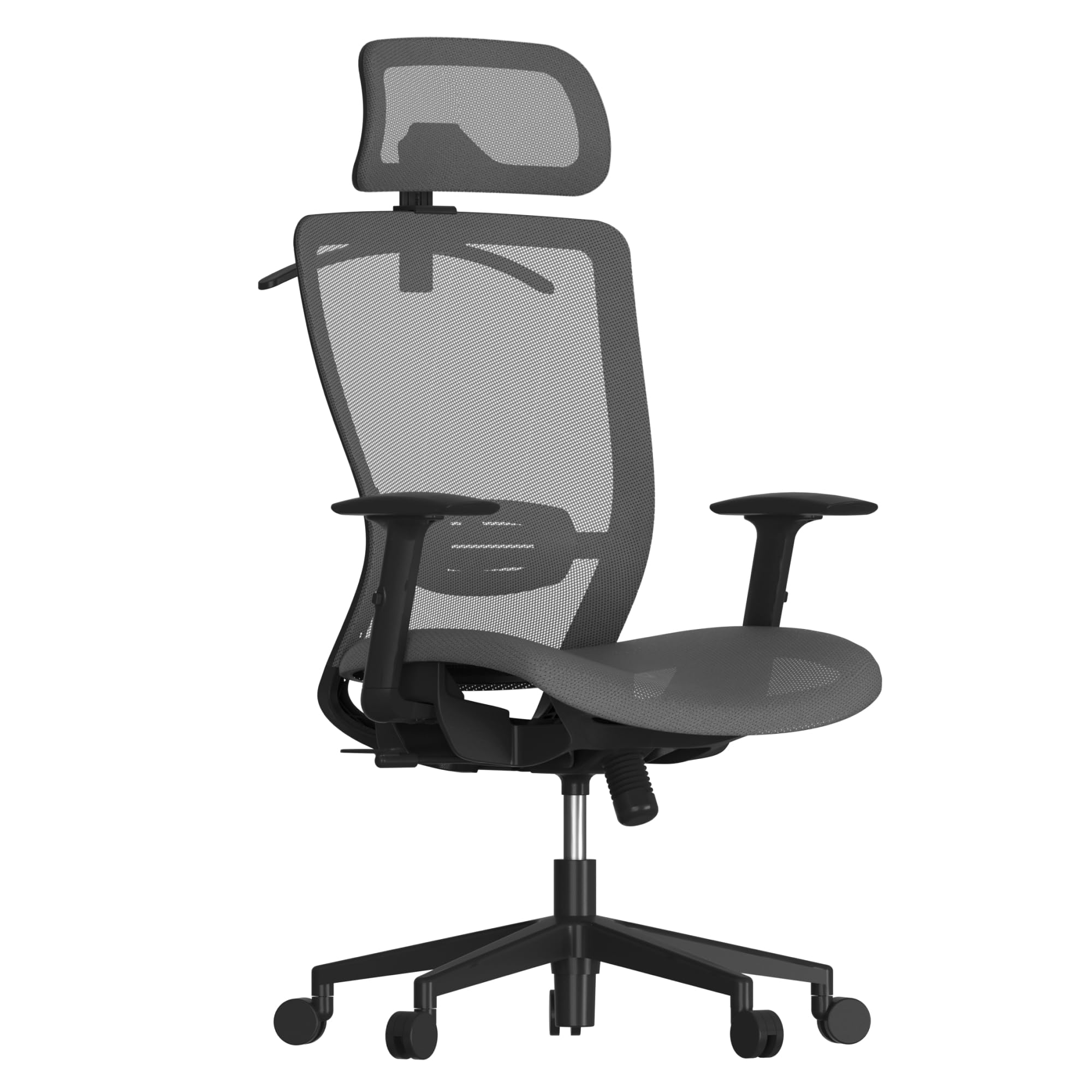 Flexispot Ergonomic Office Chair, High Back Mesh Swivel Computer Chair, Executive Office Desk Chairs, with Adjustable Lumbar Support/2d