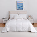 Bedding Comforters